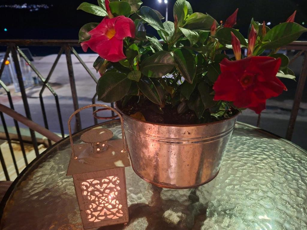 Studio 5 – Sunset Suite - Photo 2